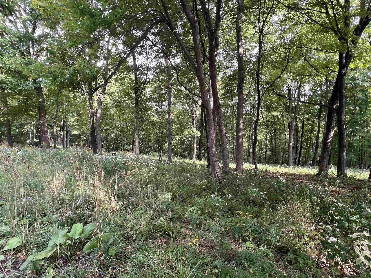 Property Photo:  65698 Desoto Ridge Road  WI 54624 