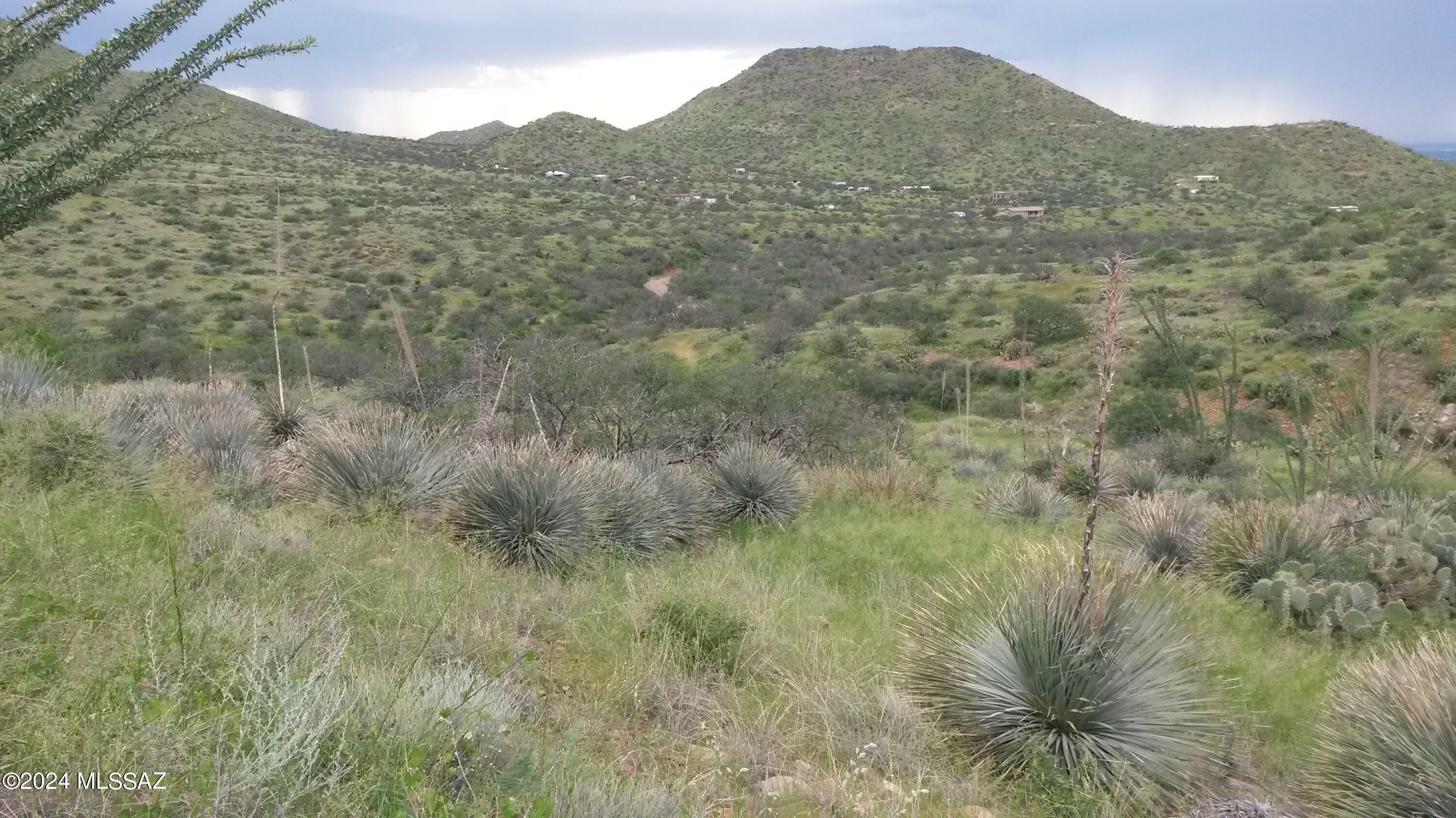 Property Photo:  S Goodenough Trail Lot 3  AZ 85641 