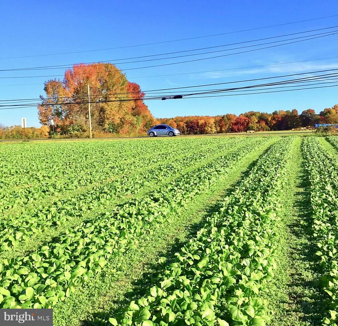 Property Photo:  248 Bordentown Chesterfield Road  NJ 08515 