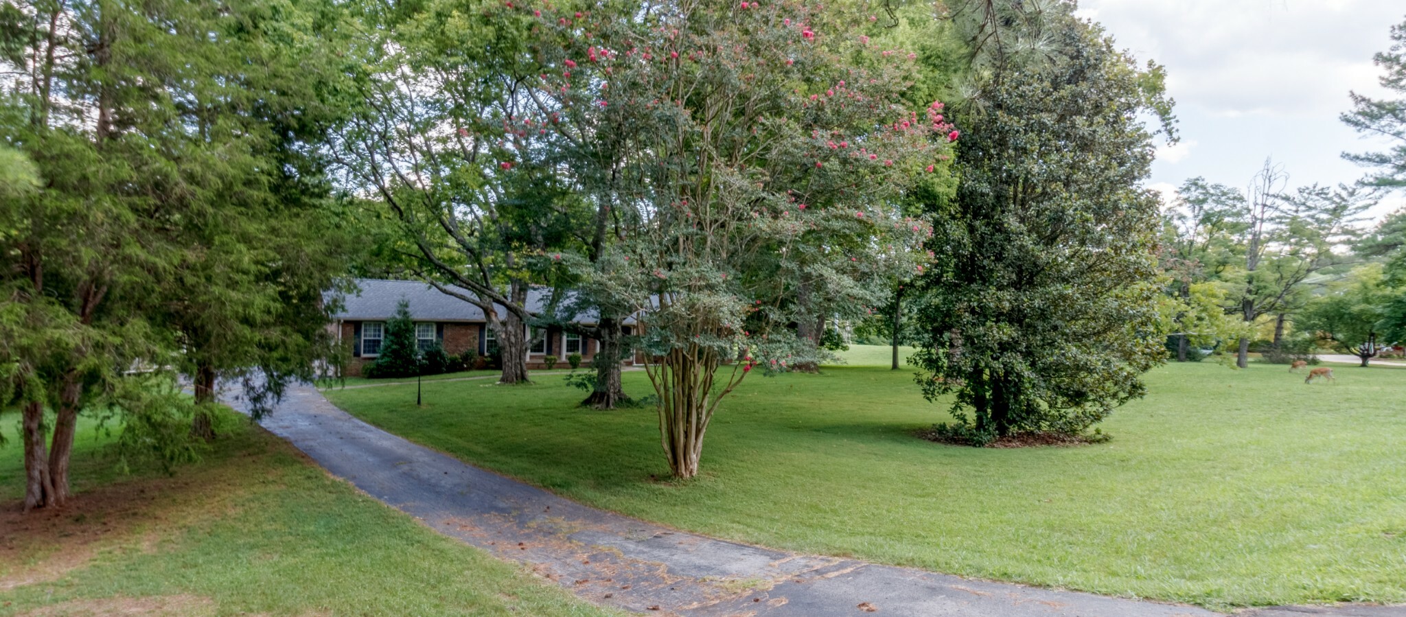 Property Photo:  1735 Cedarcroft Dr  TN 37043 