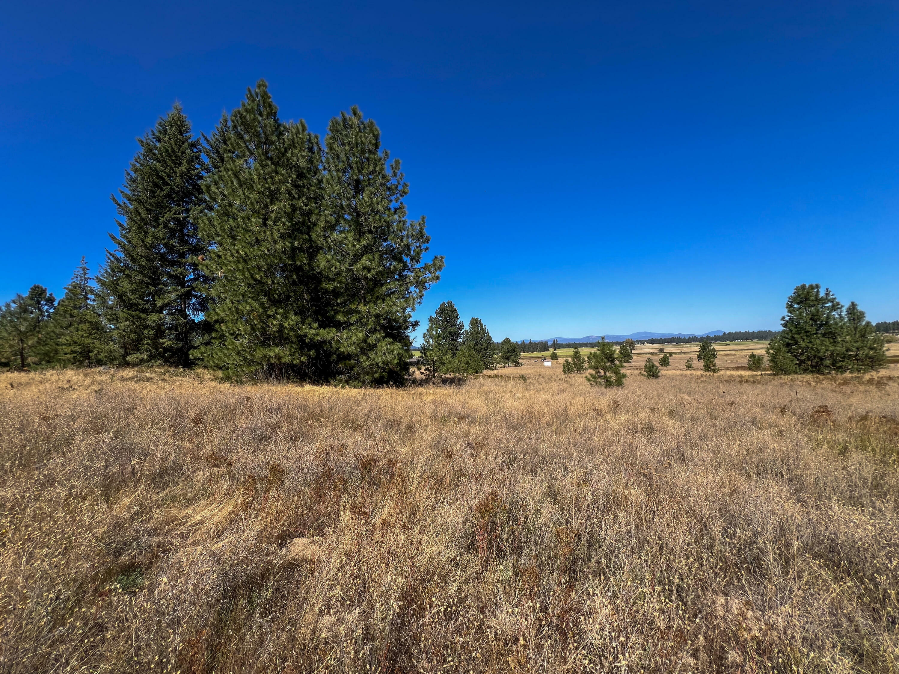 Property Photo:  52xx Lot 2 S Swenson Rd  WA 99006 