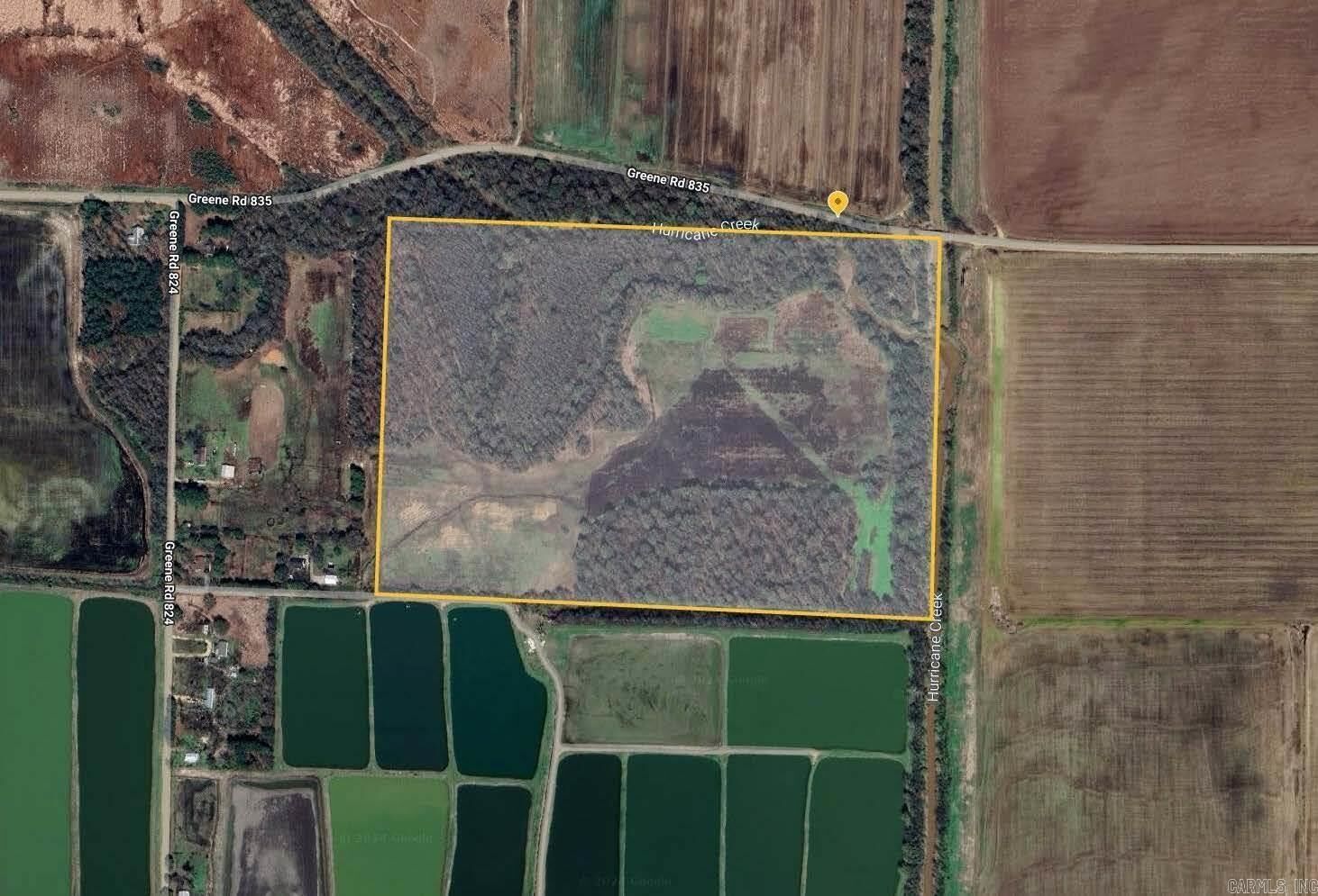 Property Photo:  Tbd Greene 835 Rd  AR 72450-0000 