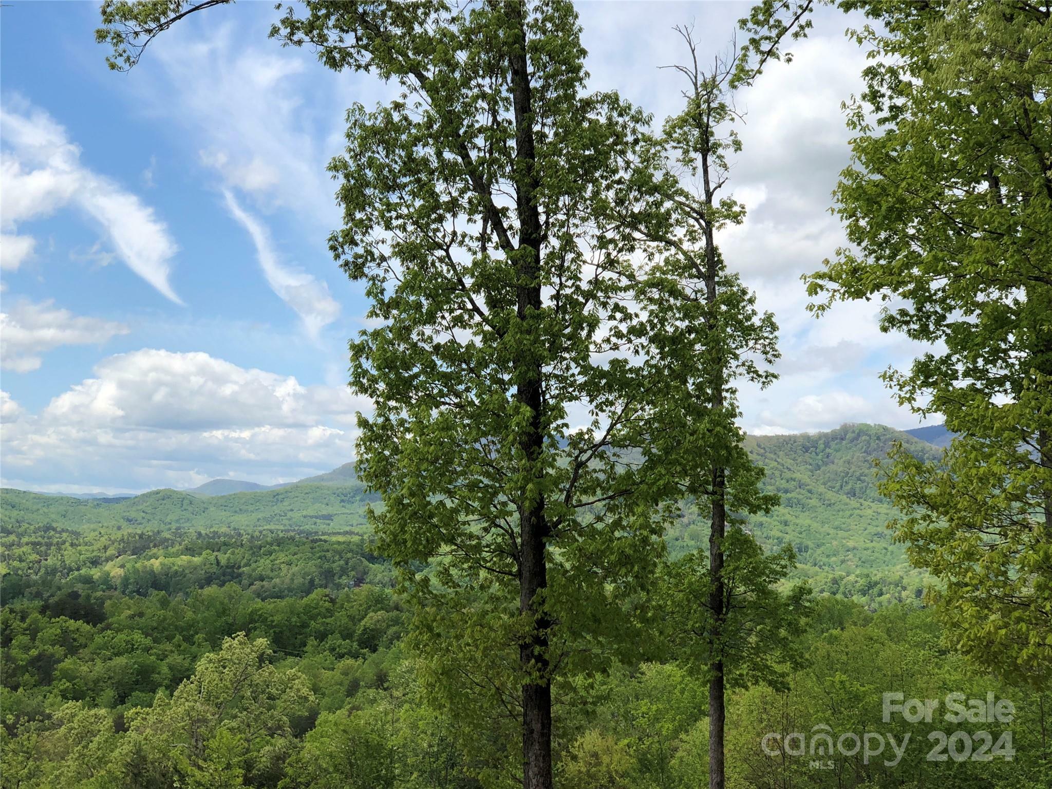 Property Photo:  0 High Rock Ridge Lot 22  NC 28746 