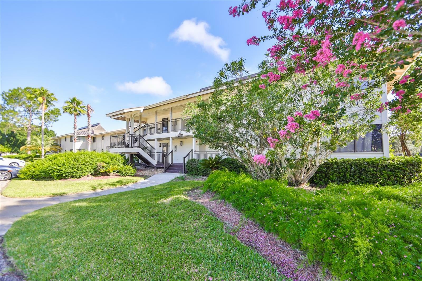 Property Photo:  29129 Bay Hollow Drive 3213  FL 33543 