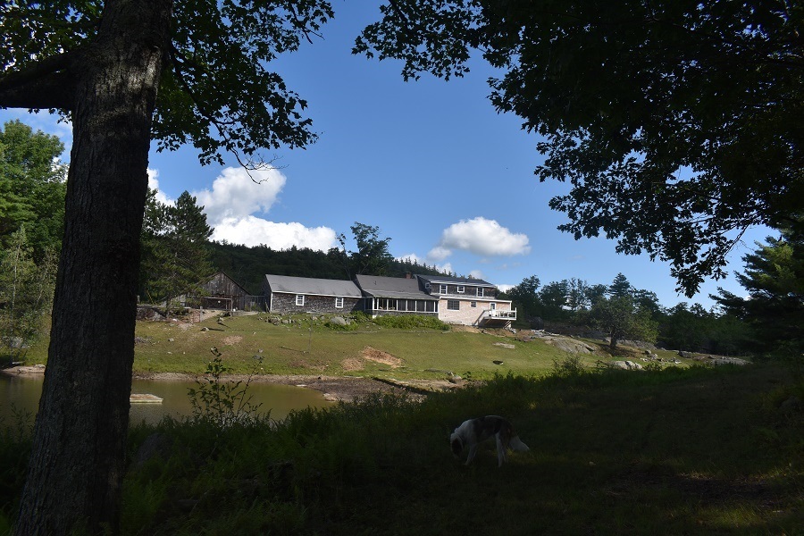 Property Photo:  345 Deer Valley Road  NH 03221-0000 