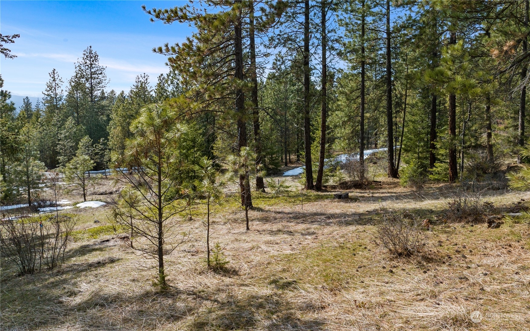 676 Forest Ridge Drive  Cle Elum WA 98922 photo