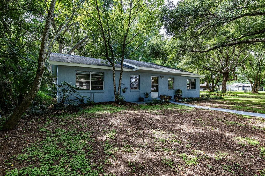 Property Photo:  104 Fruitwood Avenue  FL 32726 