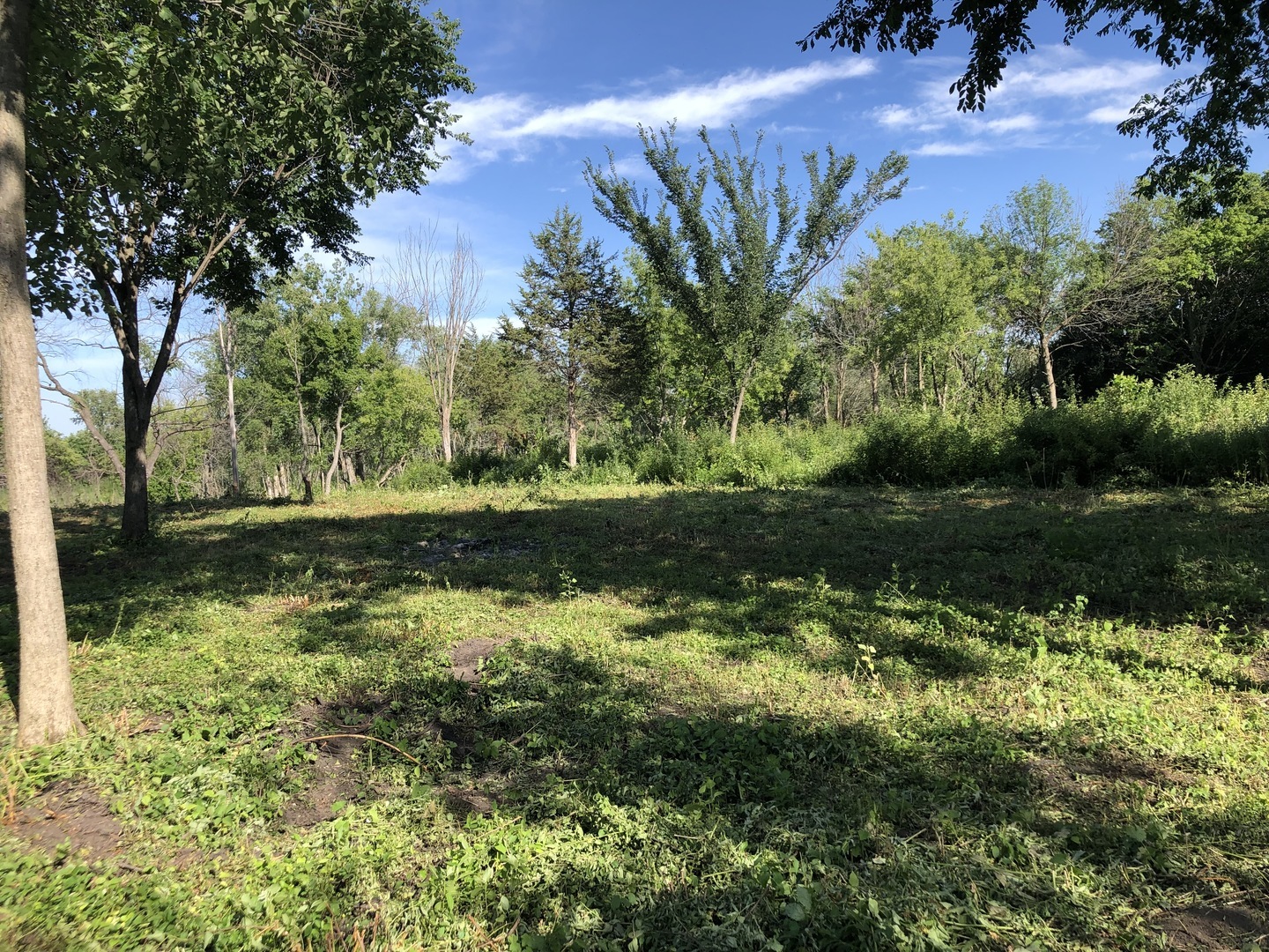 Property Photo:  27477 N Thorntree Road  IL 60060 