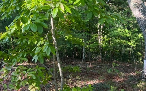 Property Photo:  Lt 32 Buck Creek Road  GA 30540 