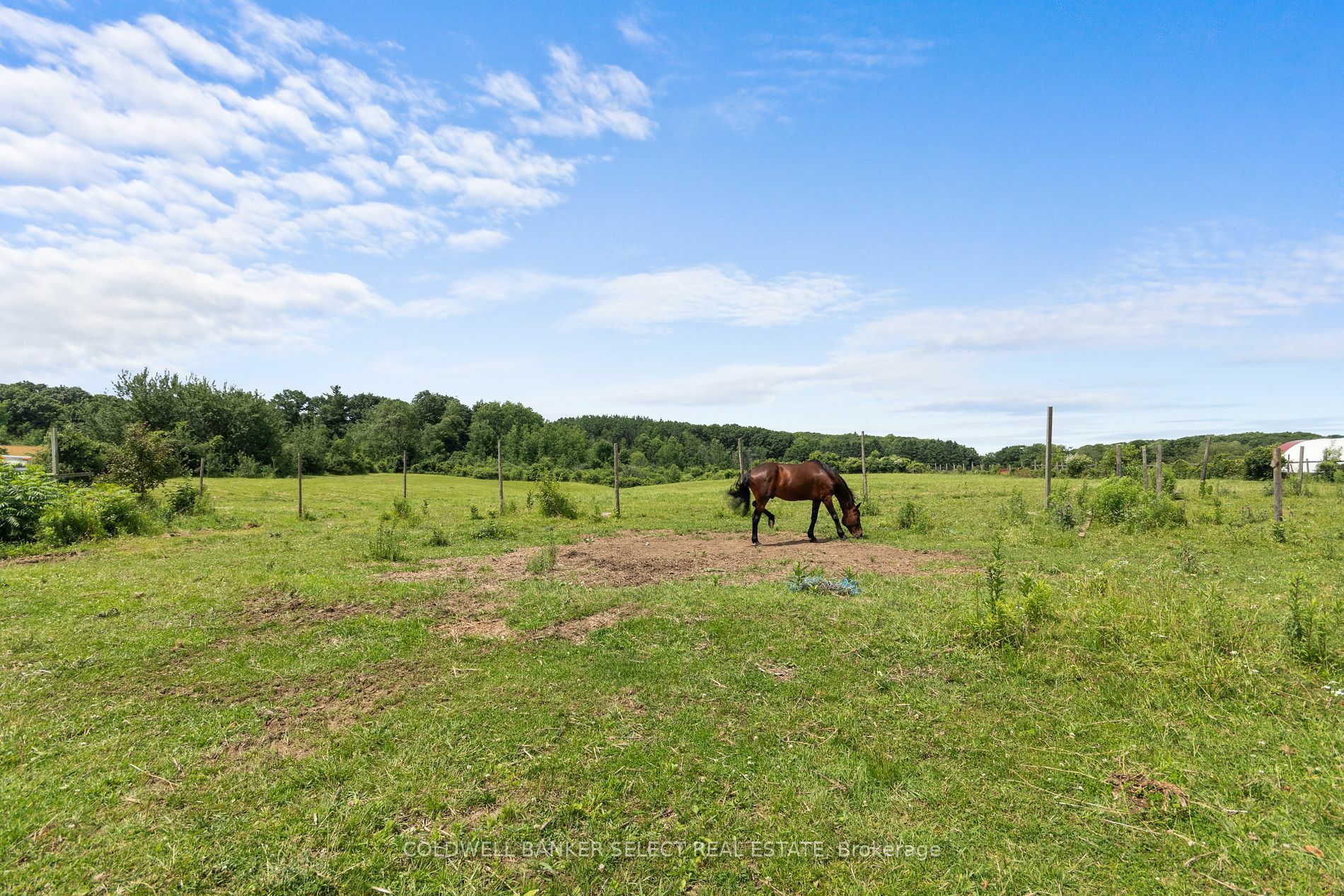 Photo de la propriété:  14880 Jane St  ON L7B 1A3 