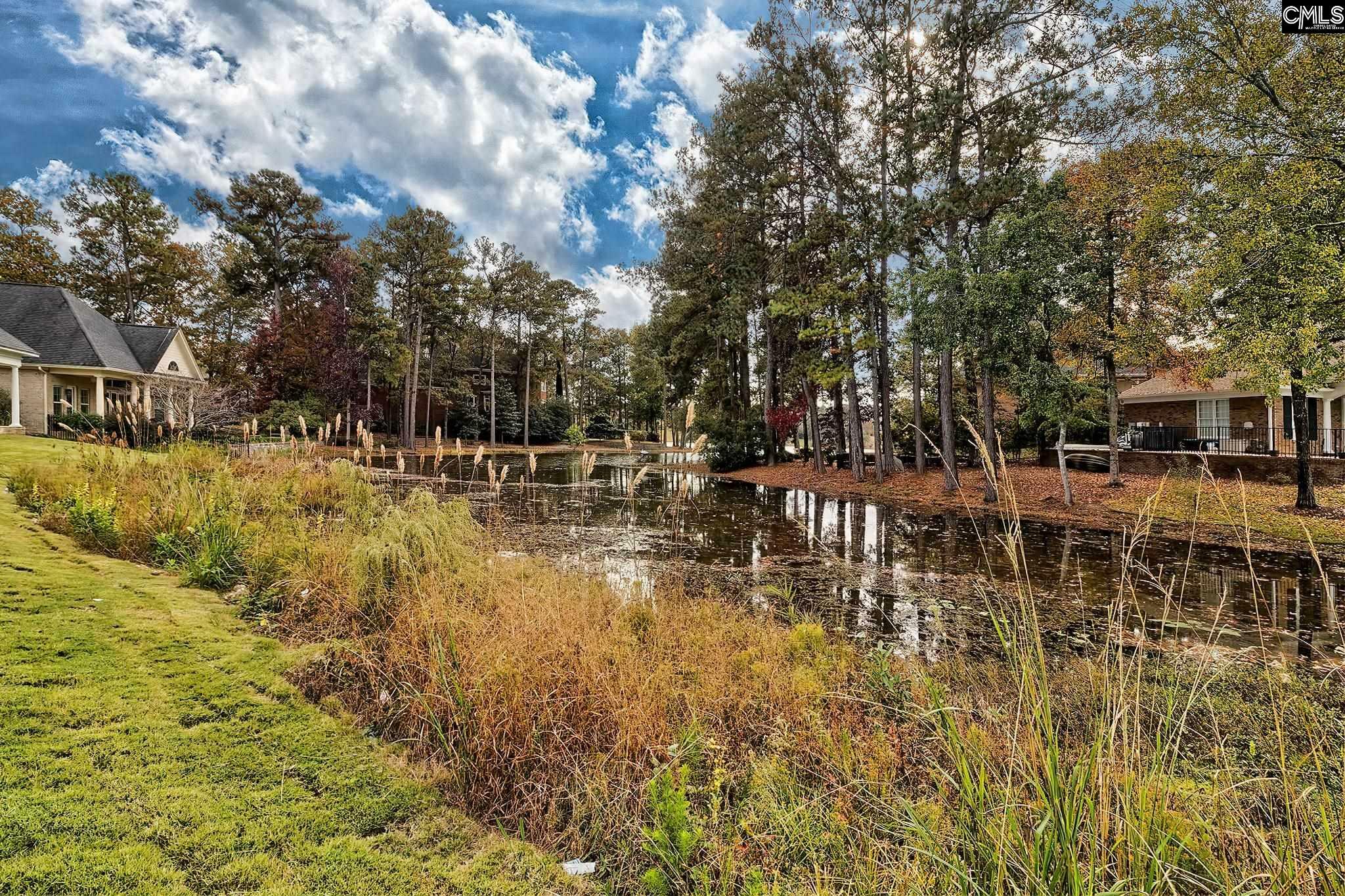 Property Photo:  4 Beaver Lake  SC 29045 