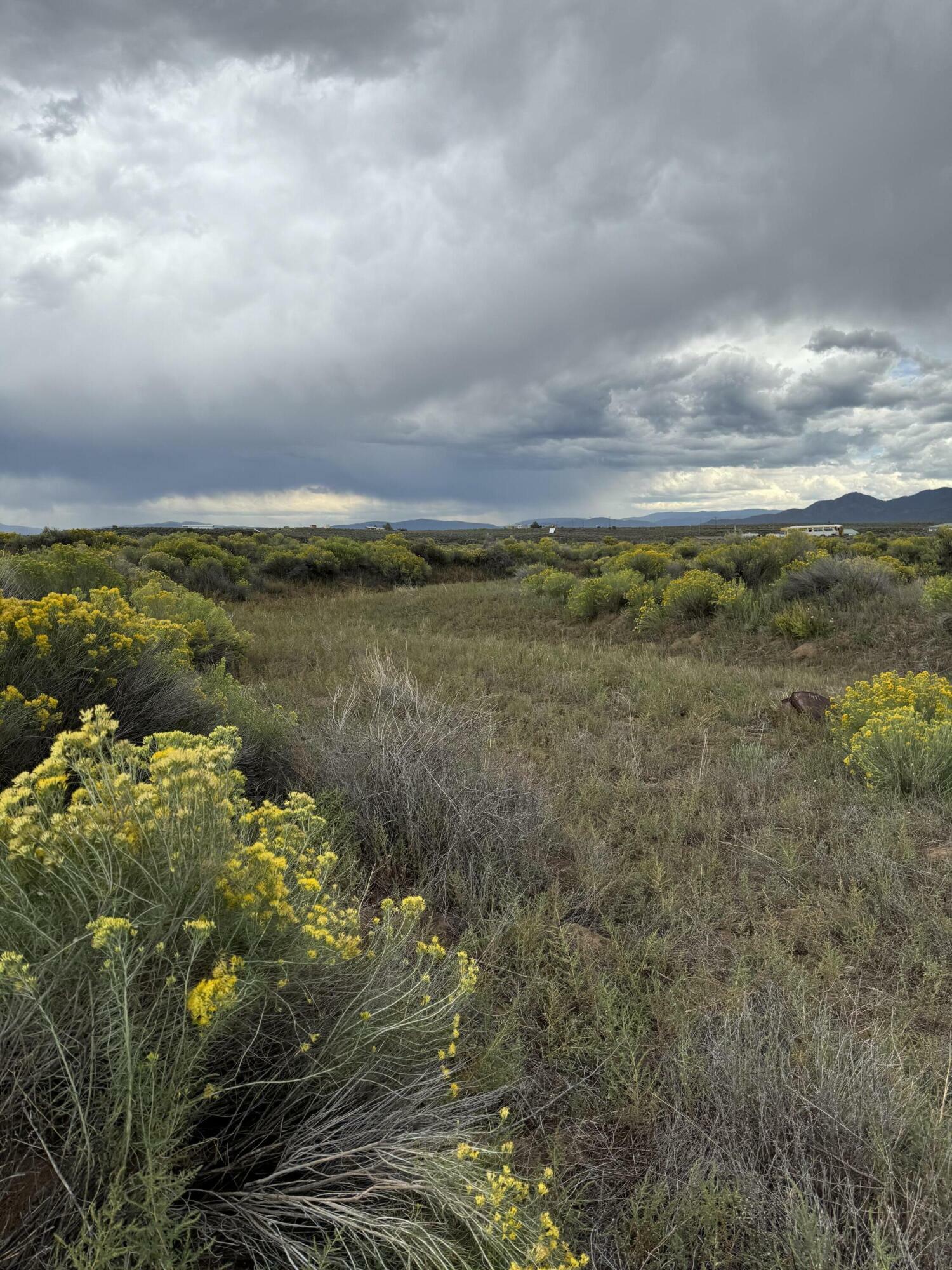 Property Photo:  0 Carson Road  NM 87557 