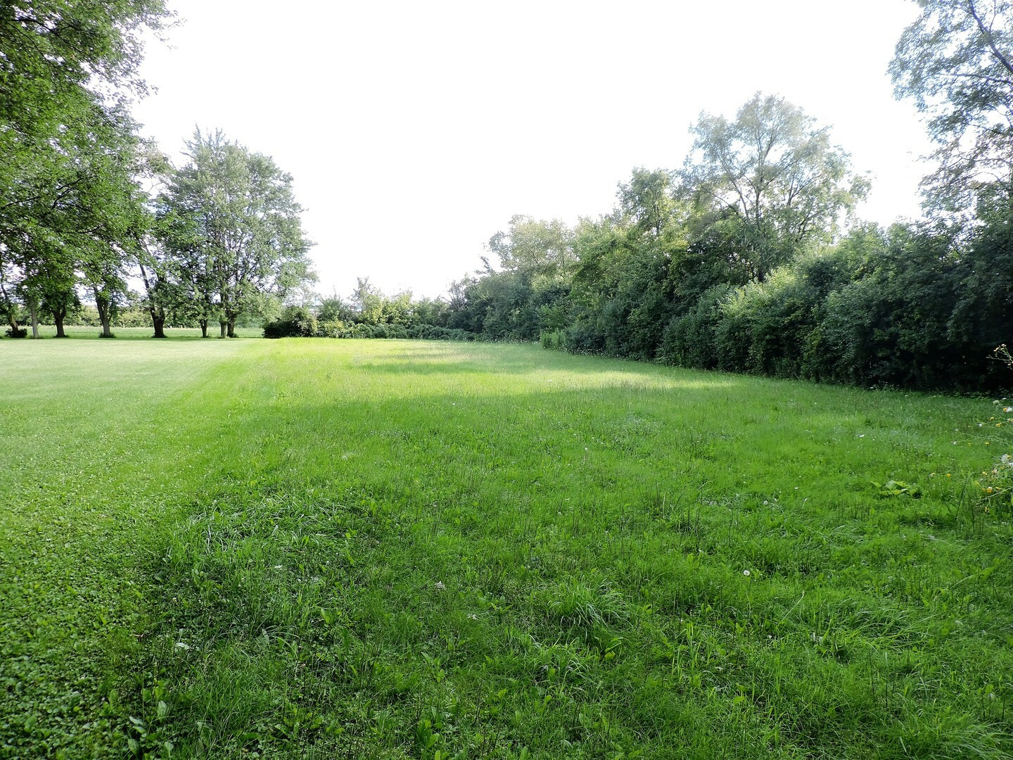 Property Photo:  30W663 Sunrise Road  IL 60563 