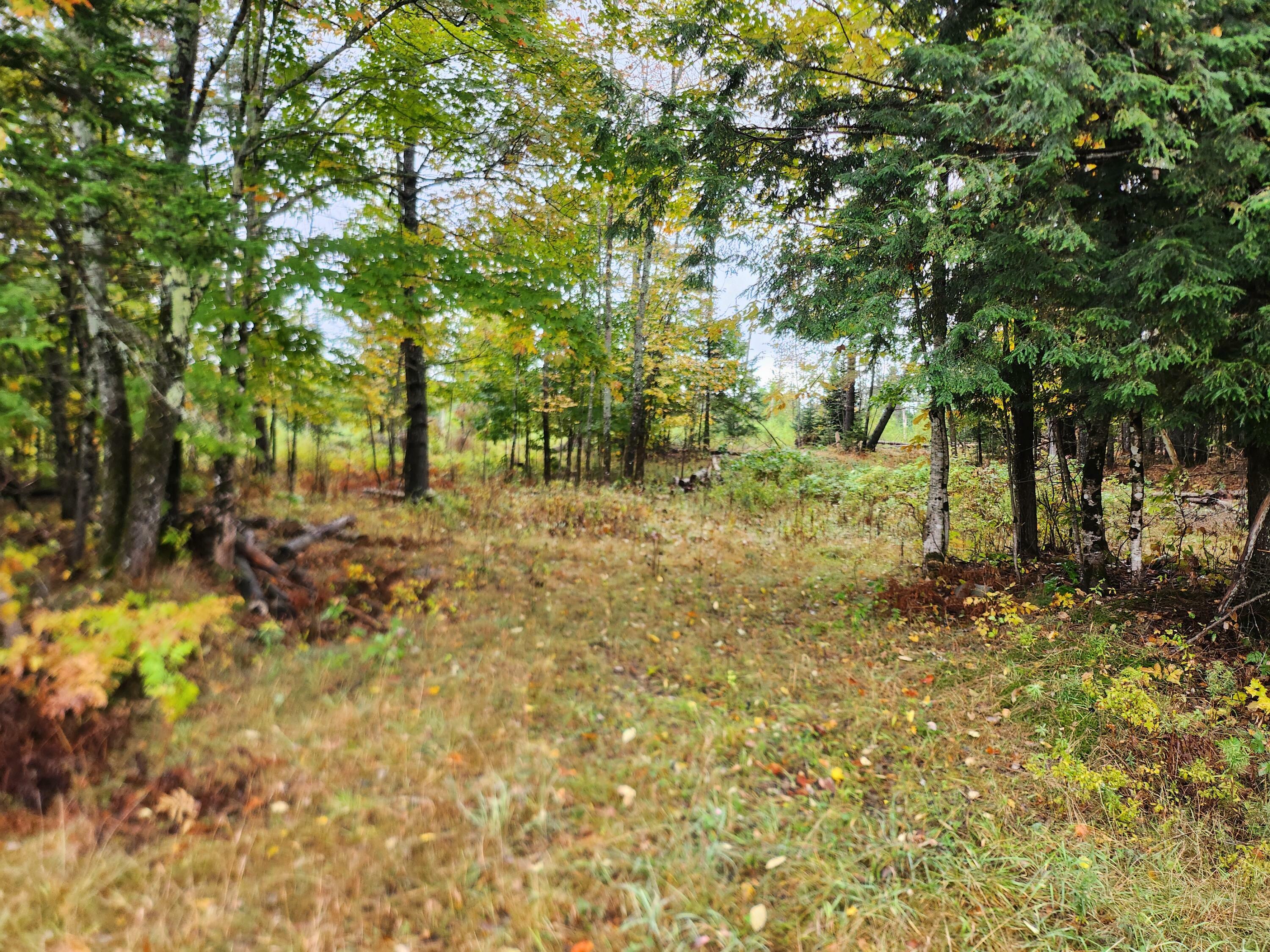 Property Photo:  Lot 46 Lane Road  ME 04930 