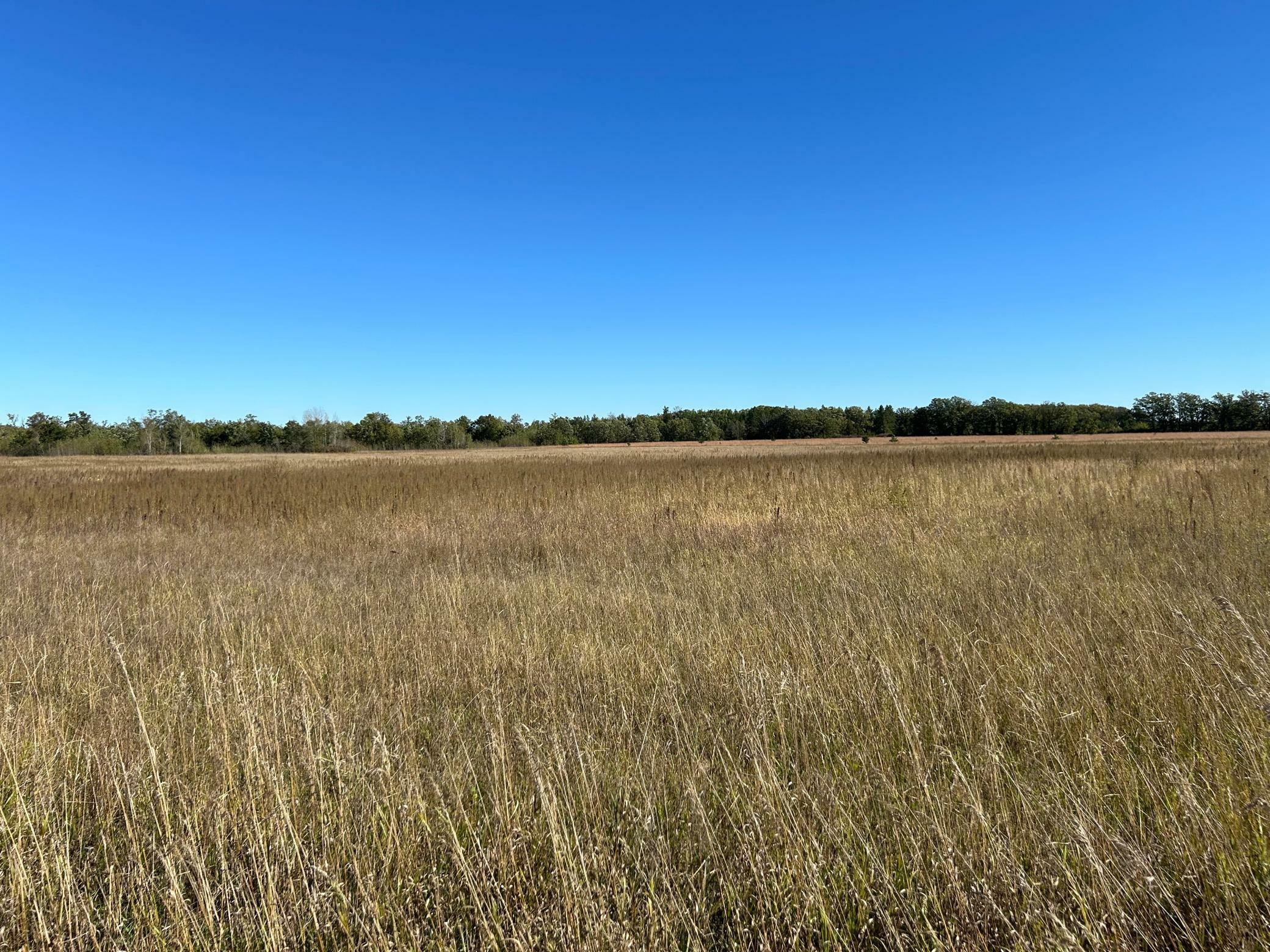 Property Photo: Tbd Co 26 MN 56575