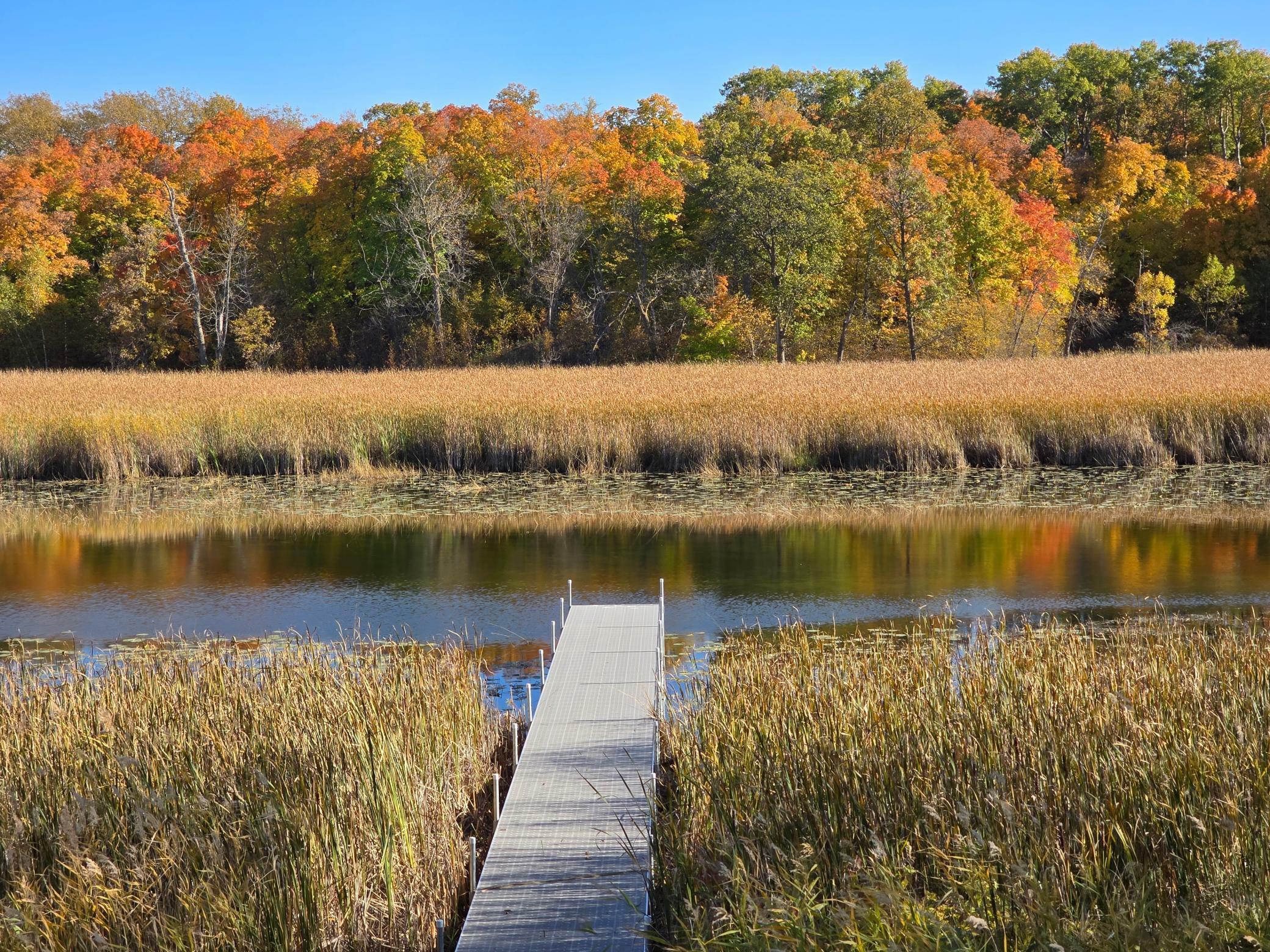 Property Photo:  Tract A Blybergs Lane  MN 56572 