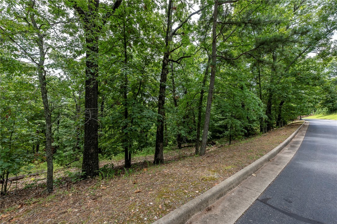 Property Photo:  Bayside Drive  AR 72758 