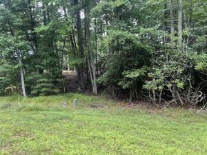 Property Photo:  135 Glenwood Way  WV 24901 