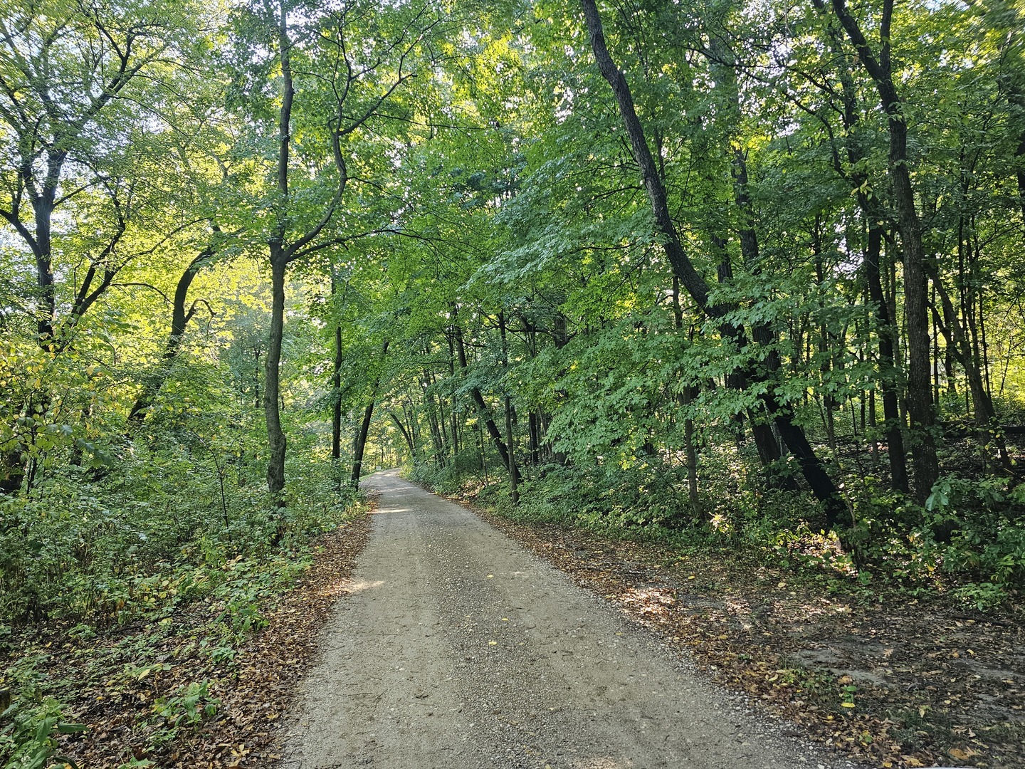 Property Photo:  8990 B Millbrook Road  IL 60541 