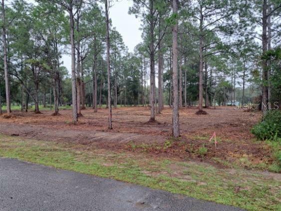 Property Photo:  0 SW Iris Court  FL 34431 