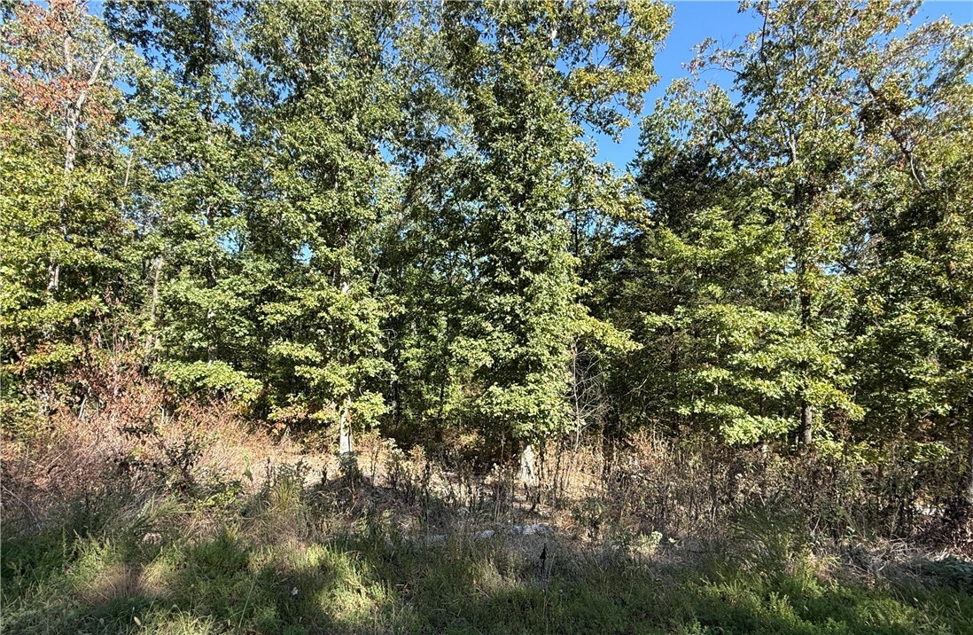 Property Photo:  Lot 10, Block 5 Tummell Drive  AR 72715 