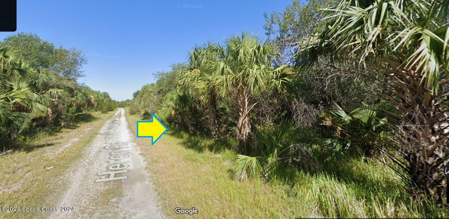 Property Photo:  621 Heron Road SW  FL 32908 