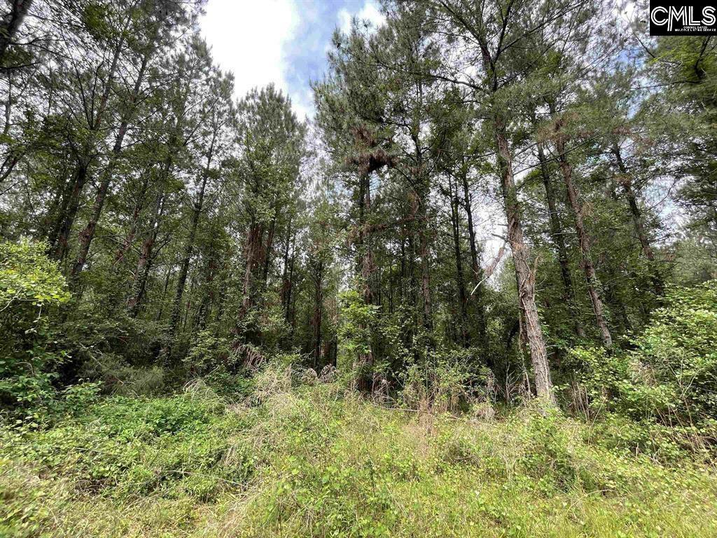 Property Photo: Bull Swamp SC 29112