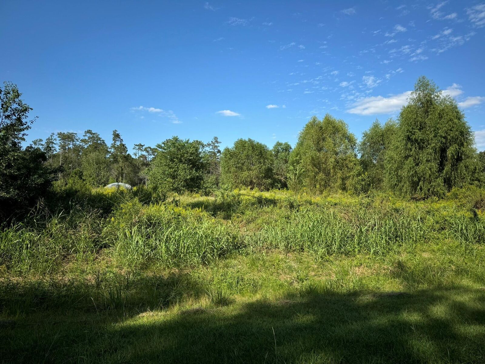 Property Photo:  Lot 73 Pine Park Boulevard  TX 77632 