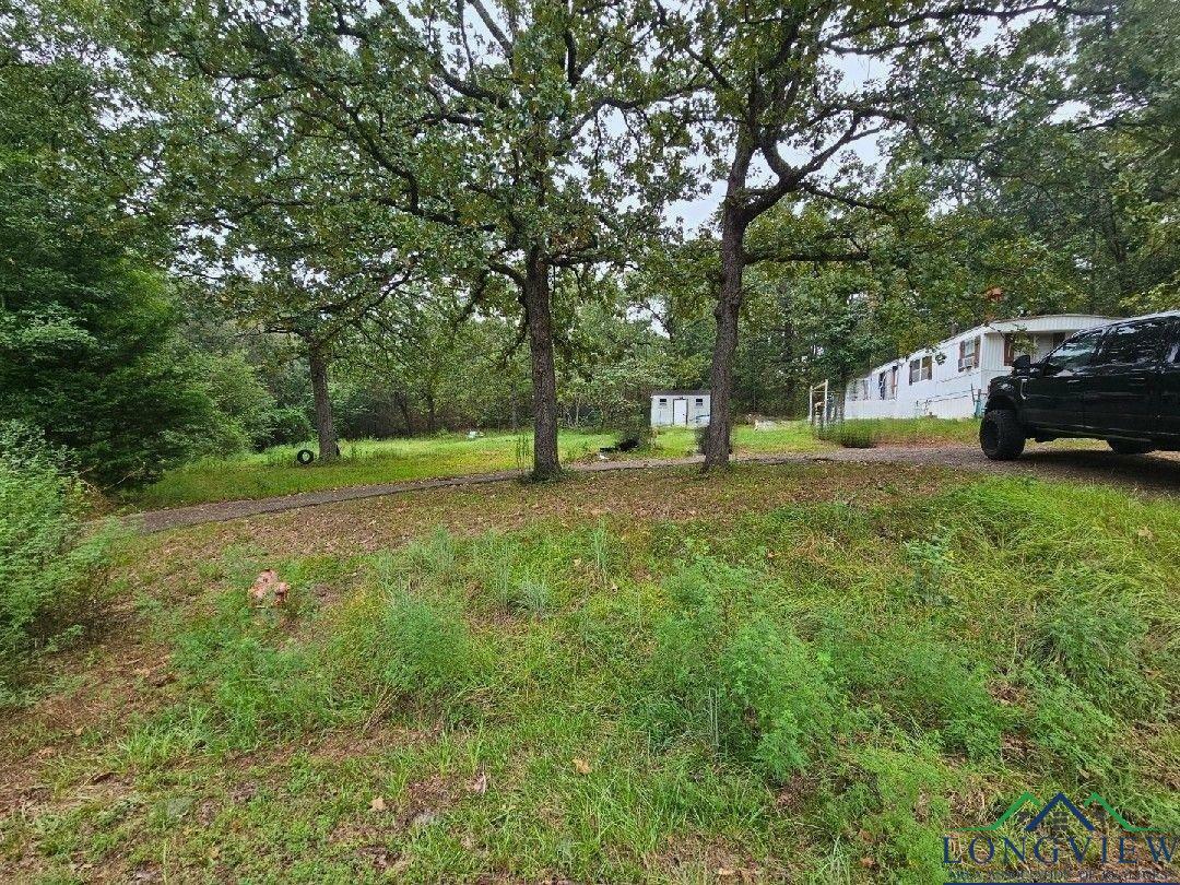 818 W Whatley Rd  White Oak TX 75693 photo