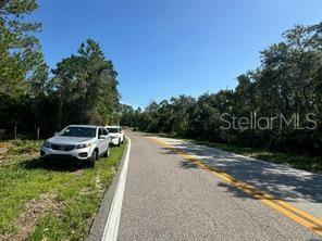 Property Photo:  Lake Marion Creek Road  FL 33844 