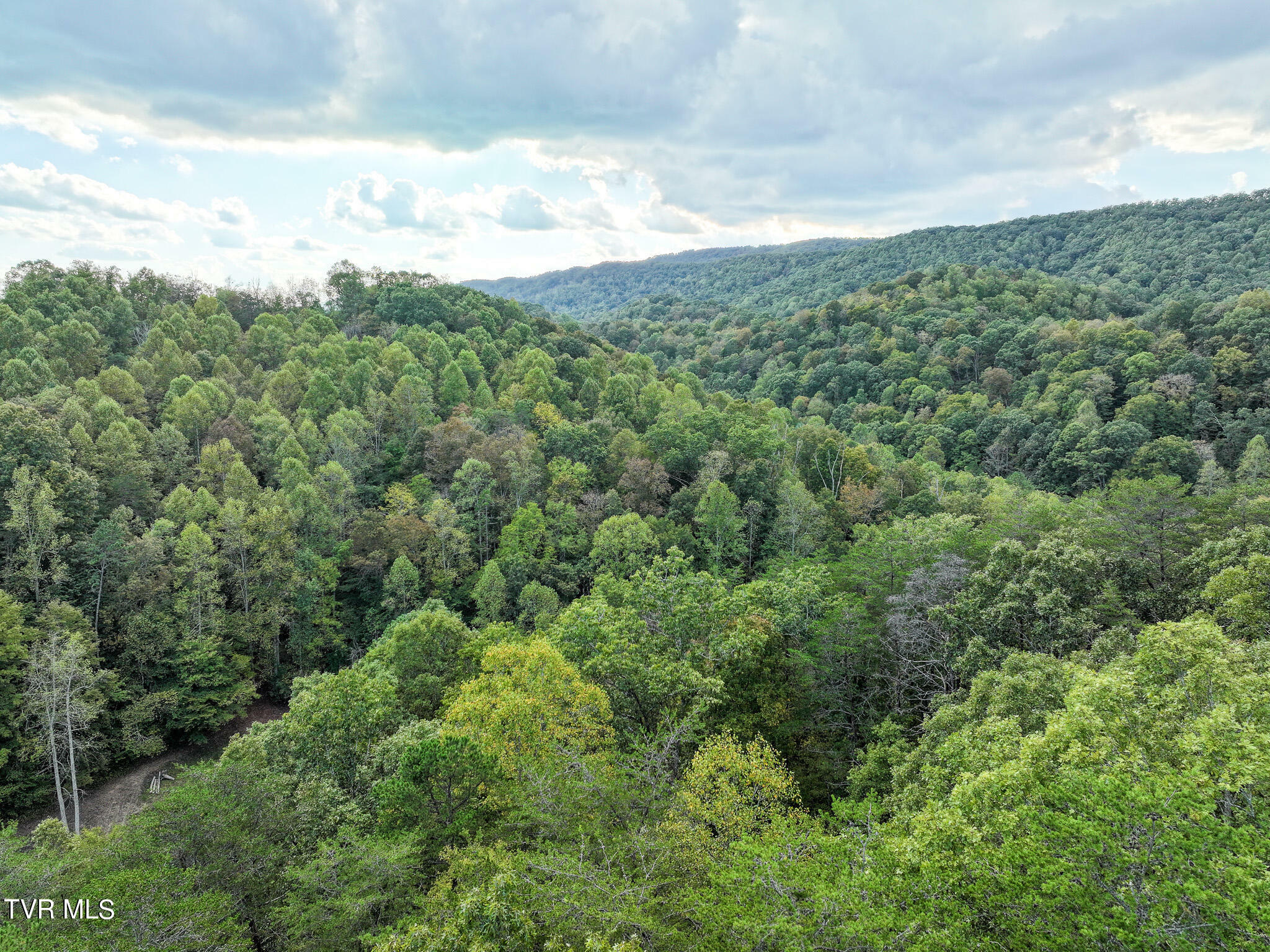 Property Photo:  3.74 Ac Widow Hollow Road  TN 37745 