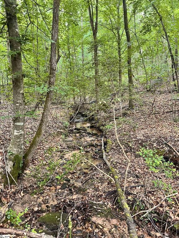 Property Photo: 1299 Singleton Road SC 29693