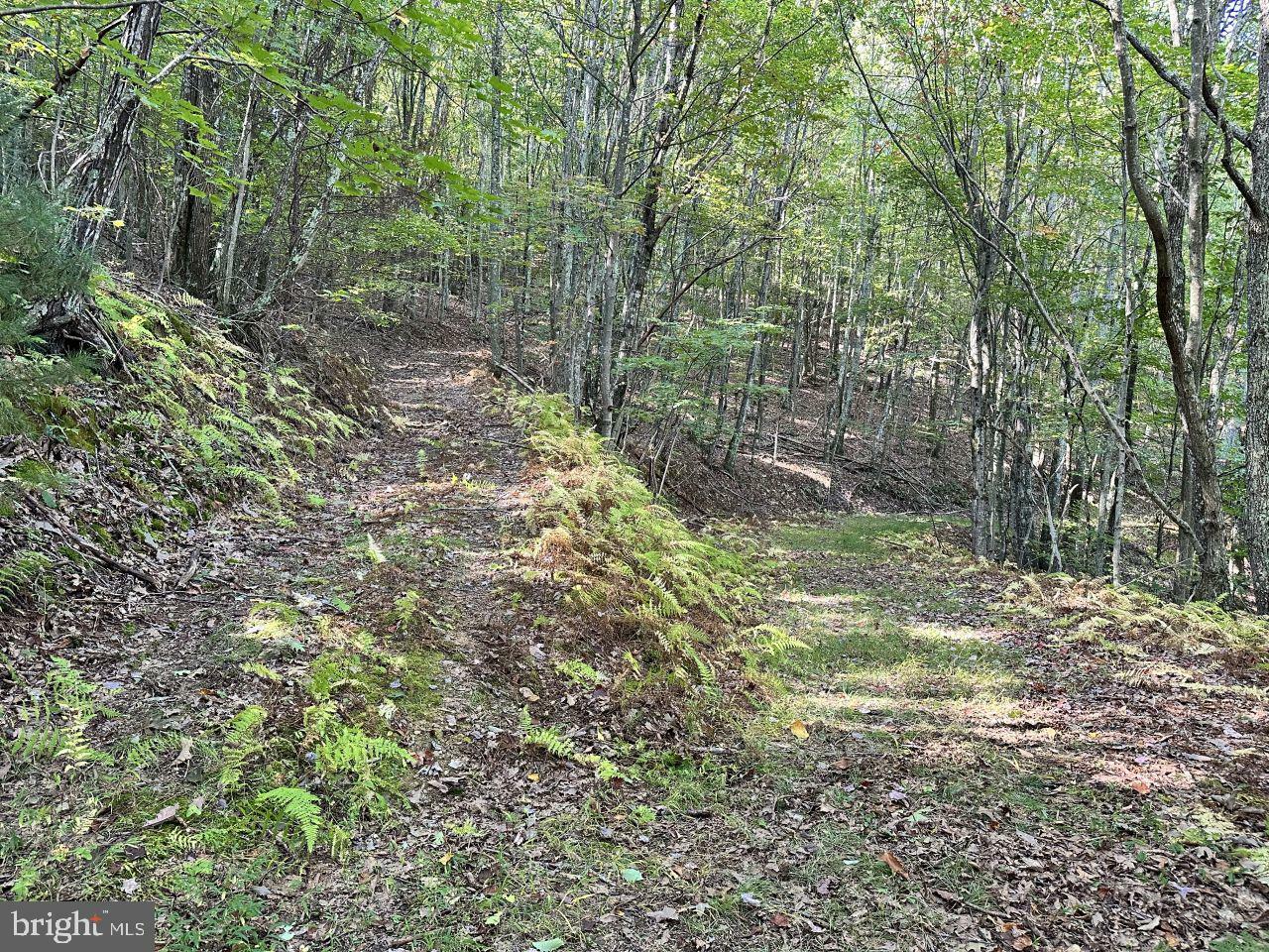 Property Photo:  0 Moncove Lake Rd.  WV 24941 