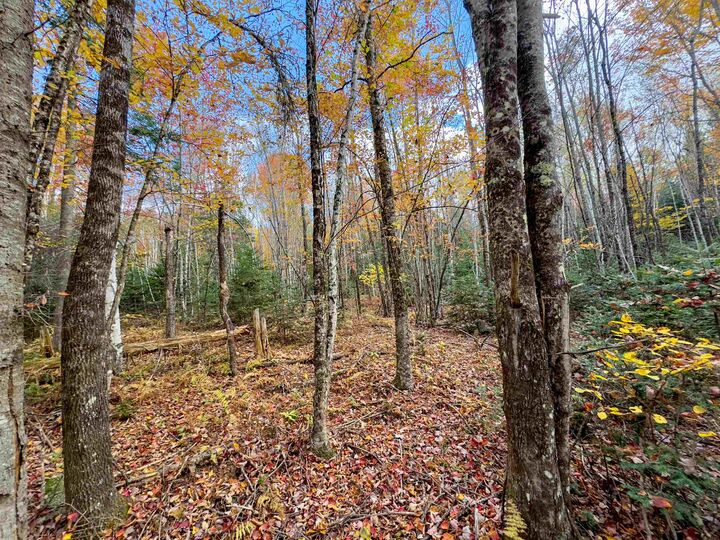 Property Photo: 00 West Main Street VT 05906