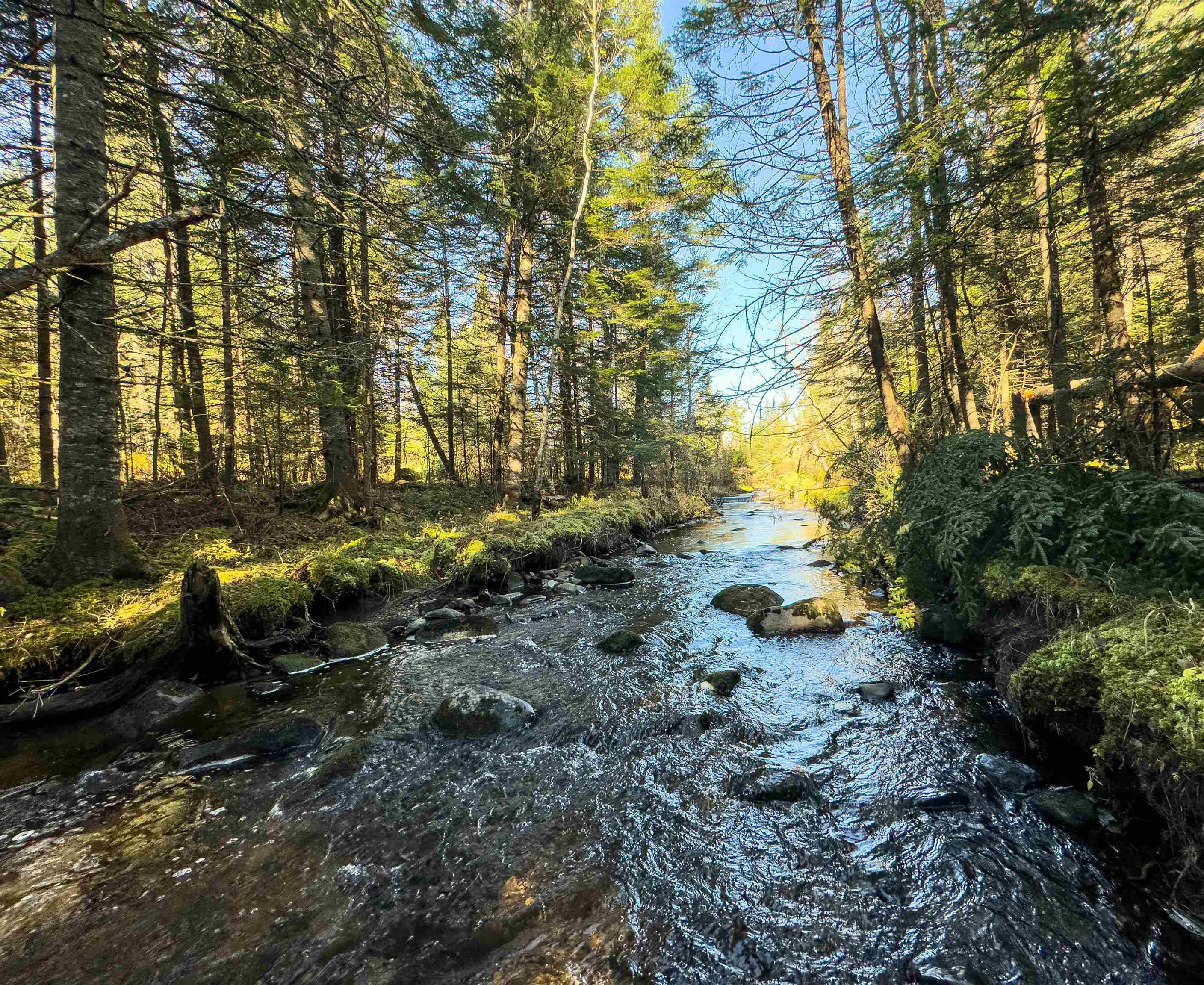 Property Photo:  00 West Main Street  VT 05906 