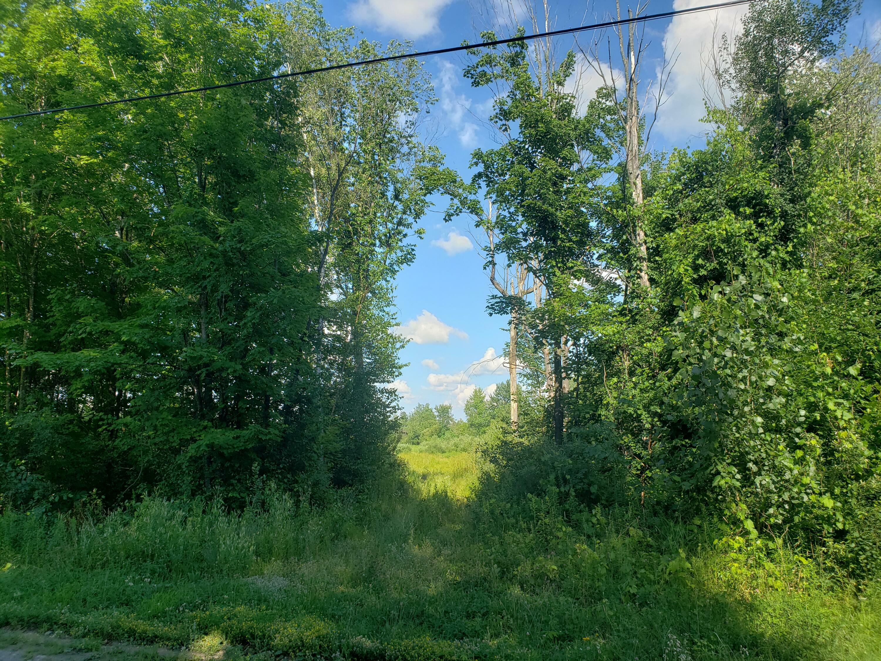 Property Photo:  0 Wagner Road  NY 12956 