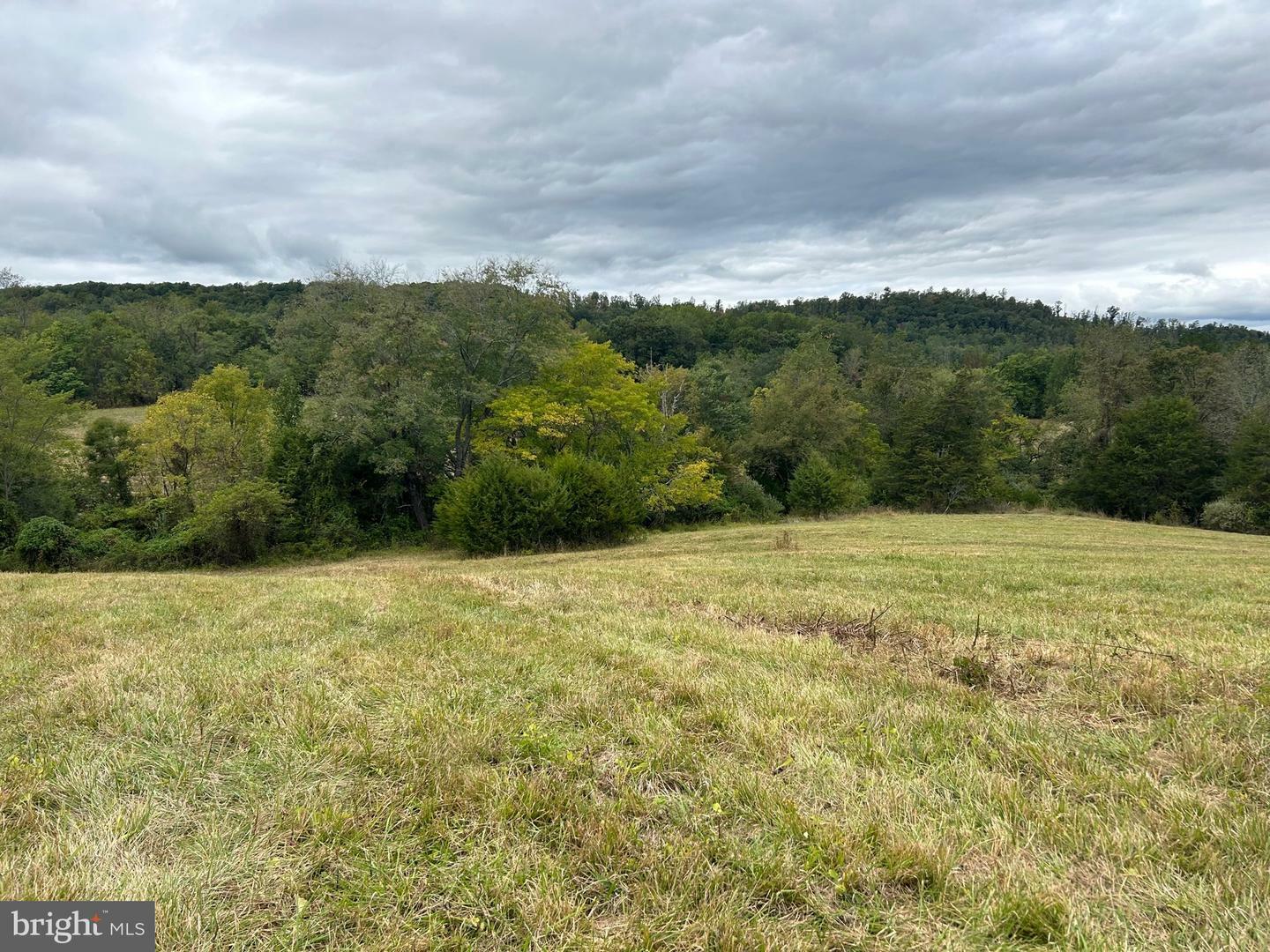 Property Photo:  Lot 48 Ryland Chapel Road  VA 22724 