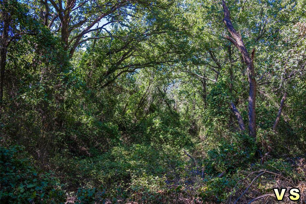 Property Photo:  Lot 7 County Road 489  TX 76857 