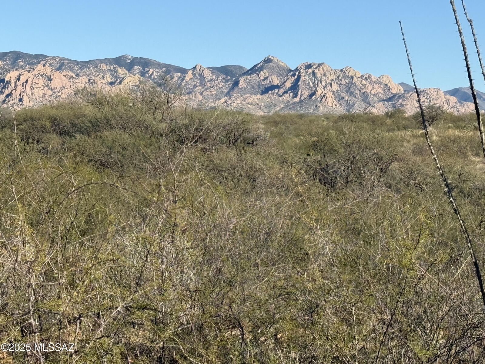 Property Photo: Lot 106 Cottontail Trail - AZ 85630