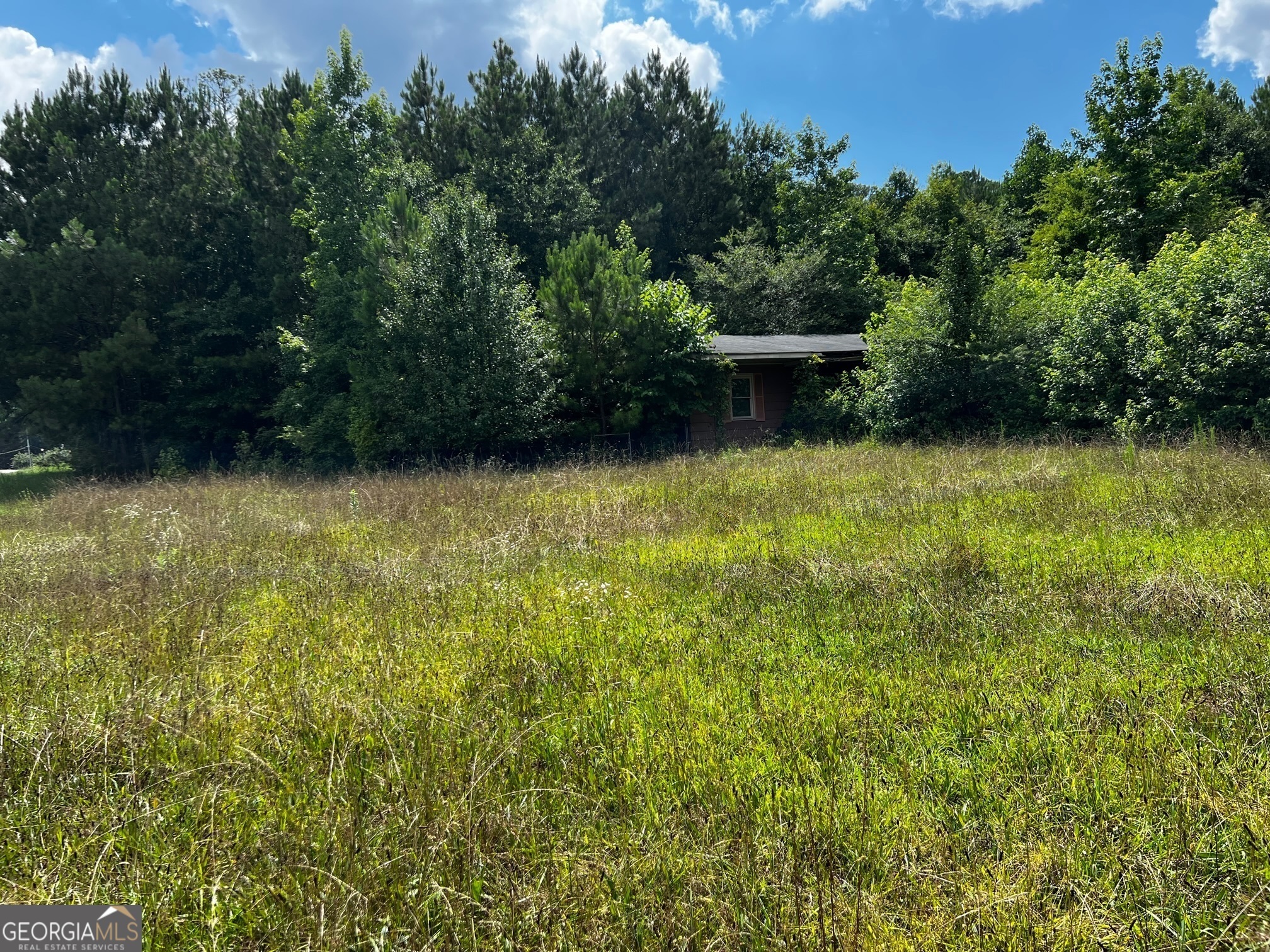 Property Photo:  11718 Brown Bridge Road  GA 30016 