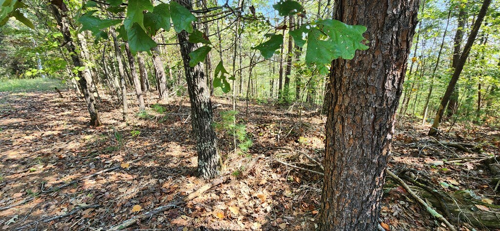 Property Photo:  Lot 1699 Shade Tree Drive  GA 30175 