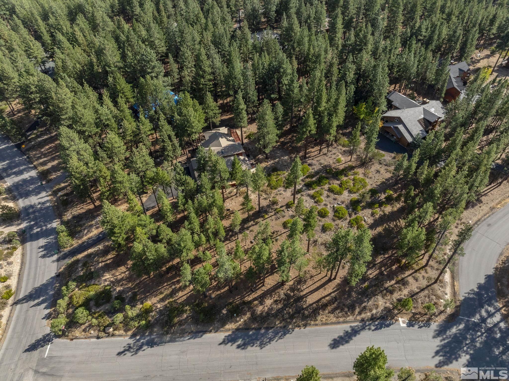 Property Photo:  11050 Blue Spruce  NV 89511 