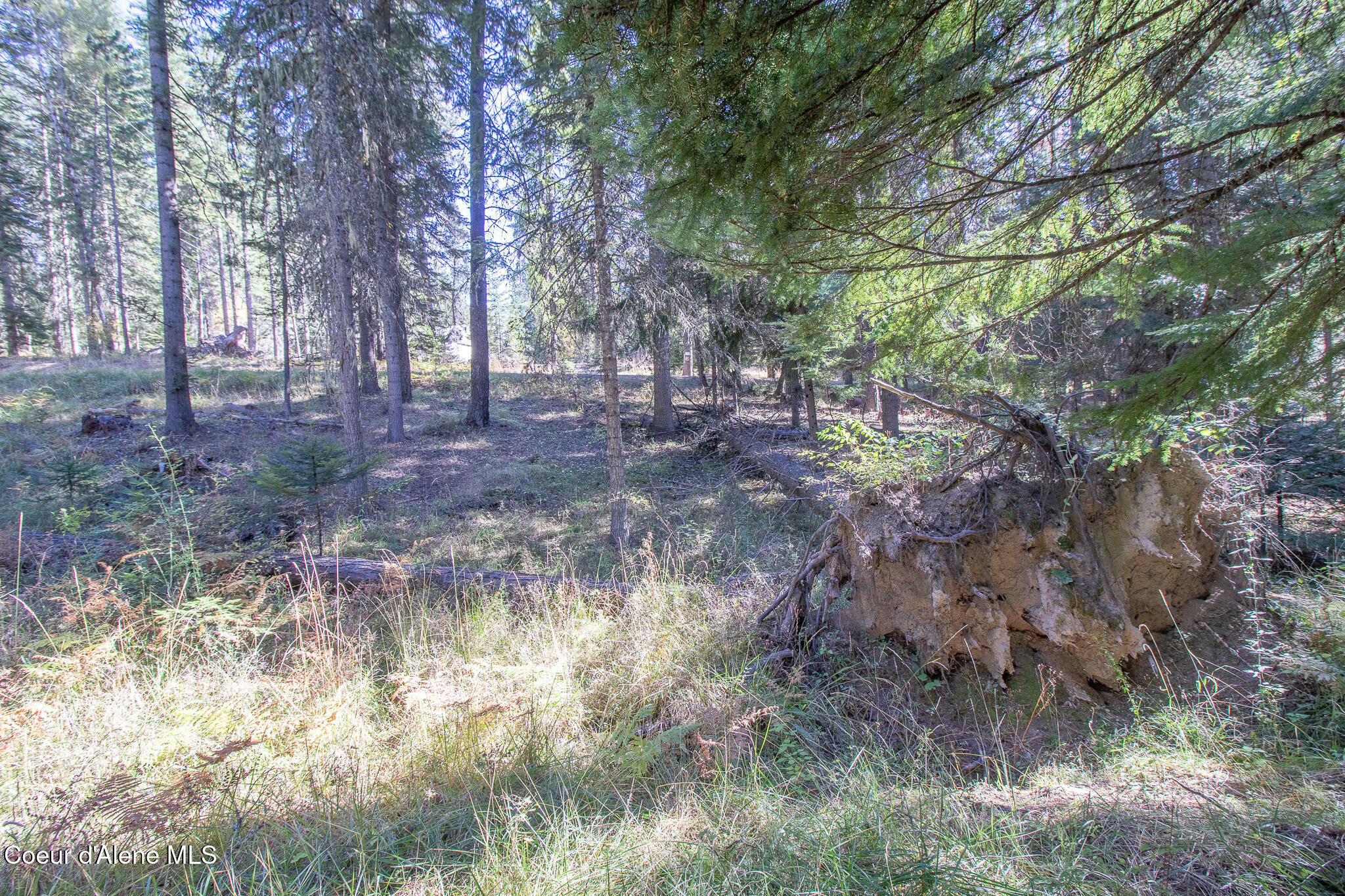 Property Photo:  Nka E Hayden Lake Rd  ID 83835 