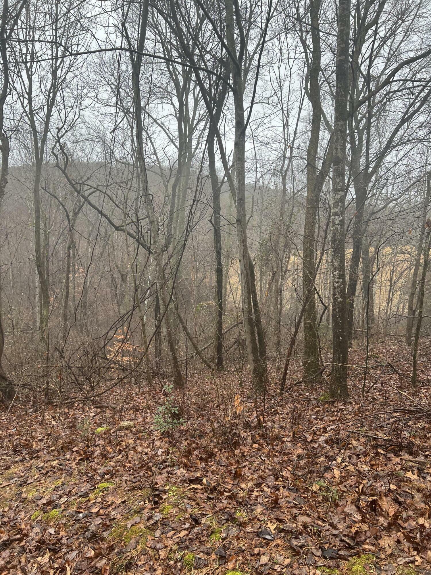 Property Photo:  310 Clayton-Lyons Road  KY 42633 