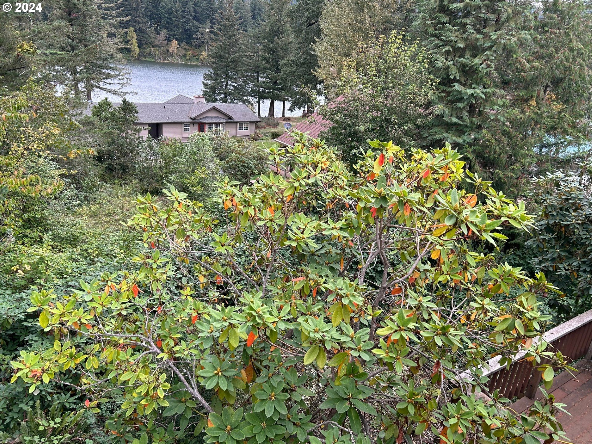 Property Photo:  24 Lake Shore Dr  WA 98648 