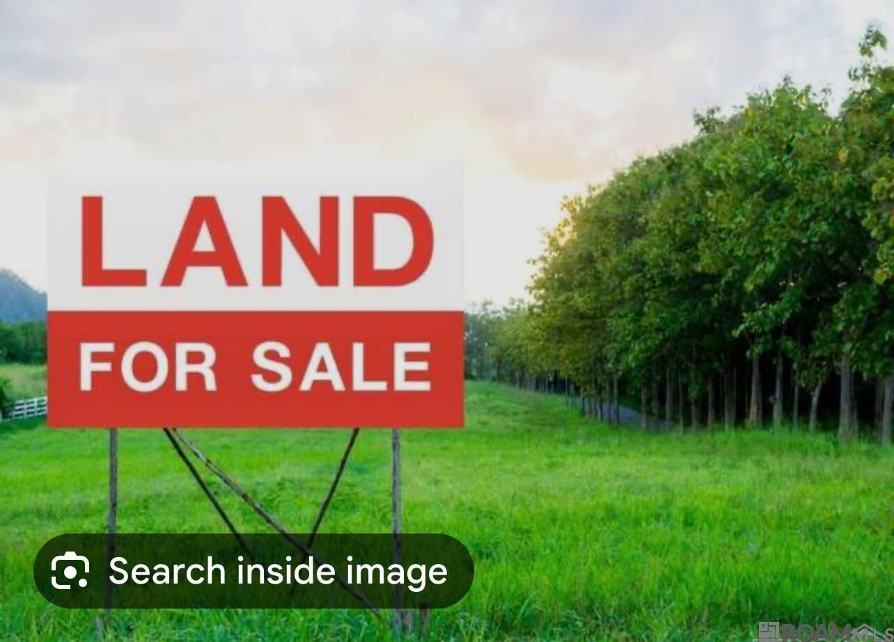 Property Photo:  Lot - 106 Ravier Ln  LA 70776