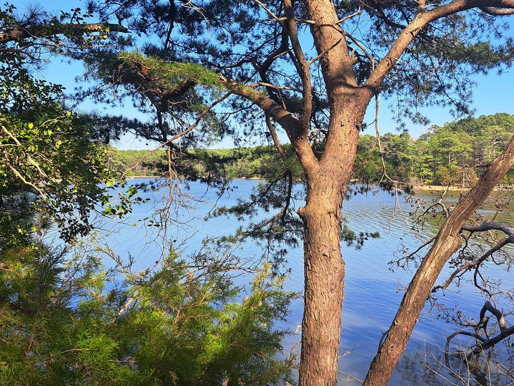 Property Photo: Lot 34 Creekside Ln VA 23310