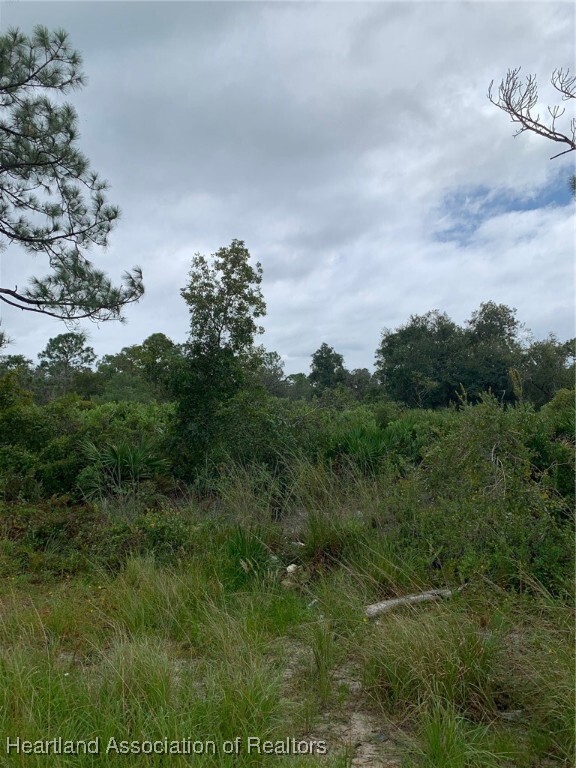 Property Photo: 1217 Cardwell Street FL 33852