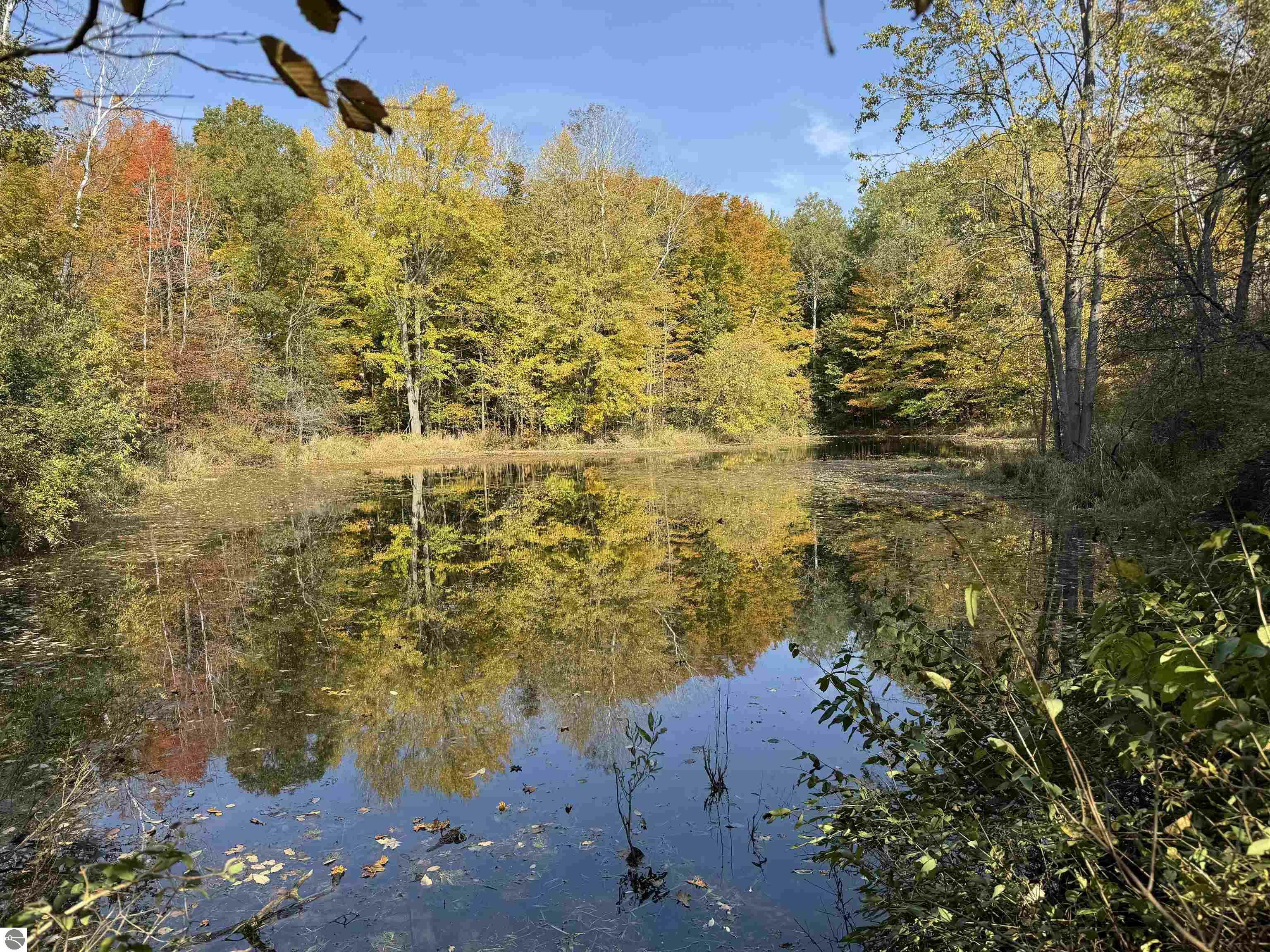 Property Photo:  21769 21 Mile Road  MI 49338 