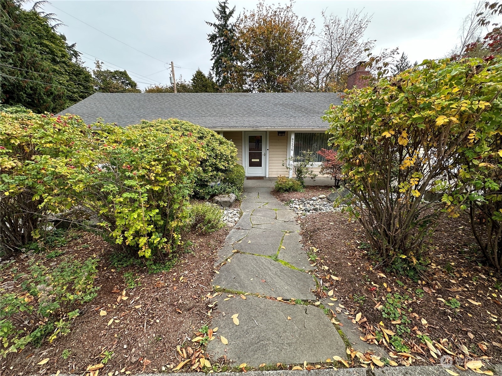 Property Photo:  8256 43rd Avenue NE  WA 98115 